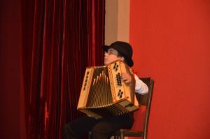 Folklorna prireditev Veseli, razigrani, nagajivi 14